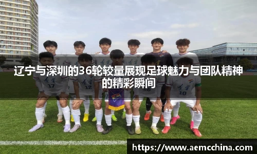 辽宁与深圳的36轮较量展现足球魅力与团队精神的精彩瞬间