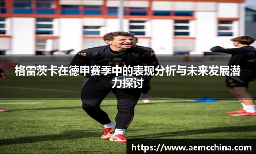 格雷茨卡在德甲赛季中的表现分析与未来发展潜力探讨