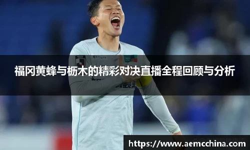 福冈黄蜂与枥木的精彩对决直播全程回顾与分析