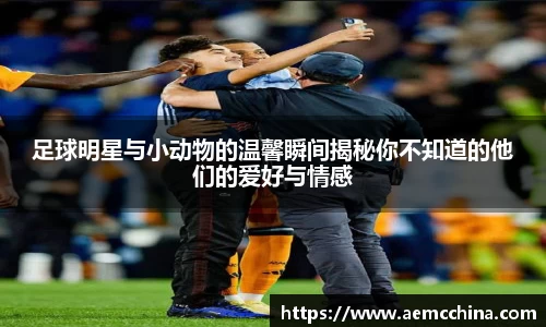 足球明星与小动物的温馨瞬间揭秘你不知道的他们的爱好与情感