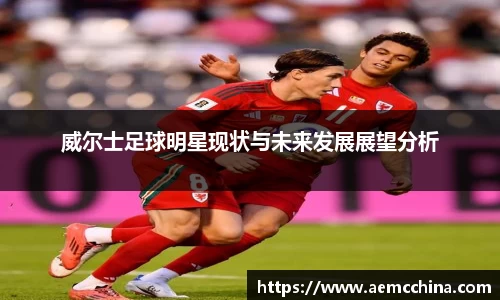 威尔士足球明星现状与未来发展展望分析