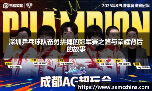 深圳乒乓球队奋勇拼搏的冠军赛之路与荣耀背后的故事