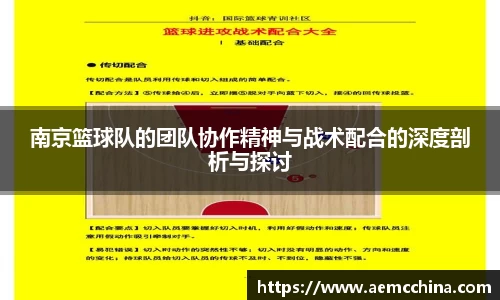 南京篮球队的团队协作精神与战术配合的深度剖析与探讨